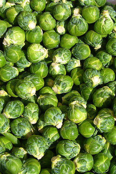 Kubis Brussel Atau Kubis Mini